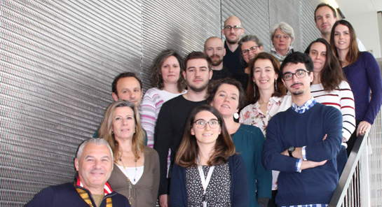 Innovations thérapeutiques des lymphomes B Institut Carnot CALYM